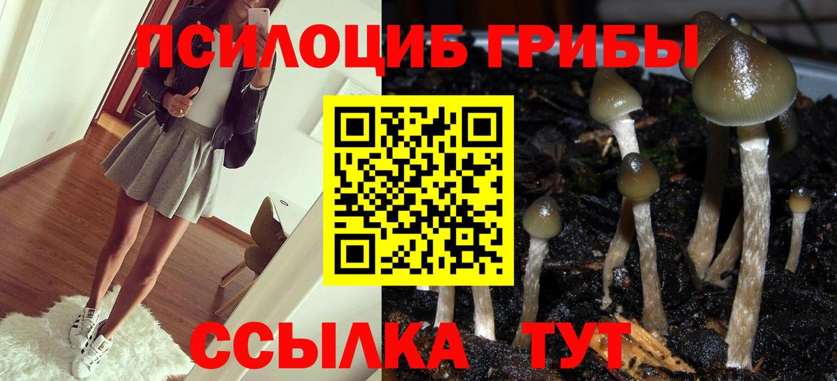 Псилоцибиновые грибы Magic Shrooms  где продают   Кубинка 