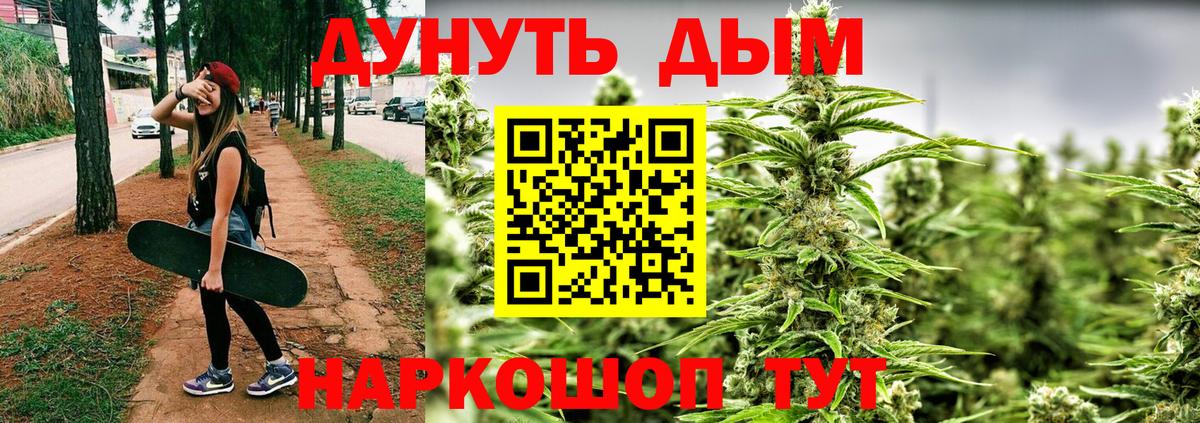 Конопля марихуана Кубинка